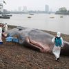 JPMorgan To Pay $920 Million For Losing $6 Billion In 'London Whale' Fiasco